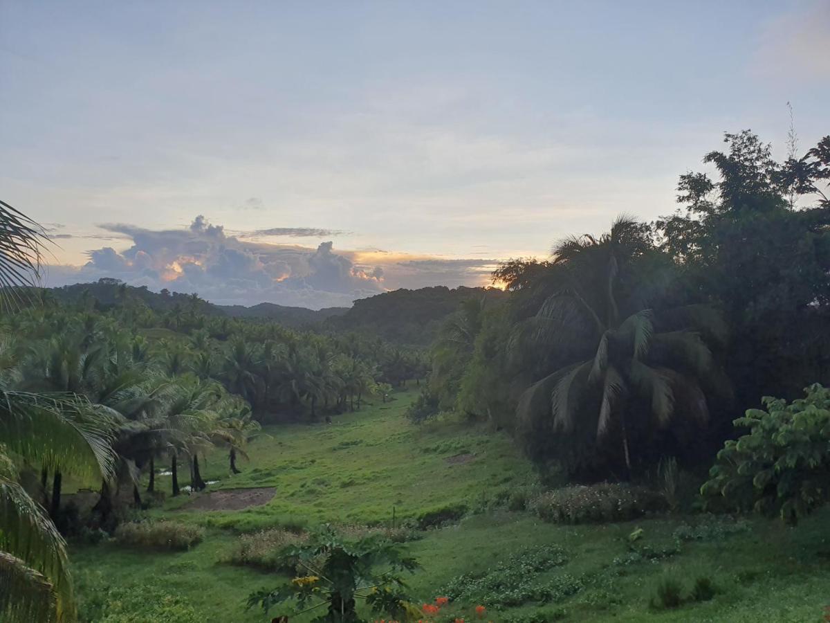 Vila Mango Tree Siargao General Luna  Exteriér fotografie